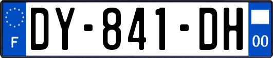 DY-841-DH