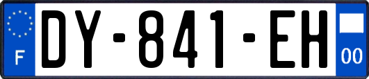 DY-841-EH