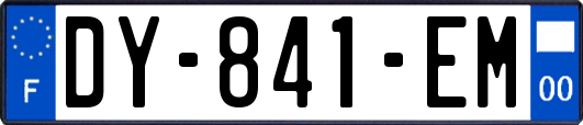 DY-841-EM