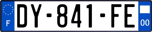 DY-841-FE