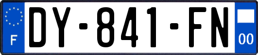 DY-841-FN