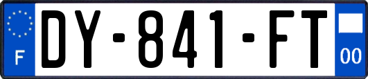 DY-841-FT