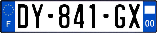 DY-841-GX