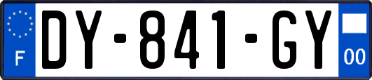 DY-841-GY