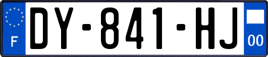 DY-841-HJ