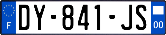 DY-841-JS