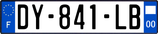 DY-841-LB