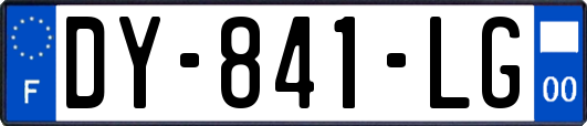 DY-841-LG