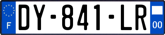 DY-841-LR