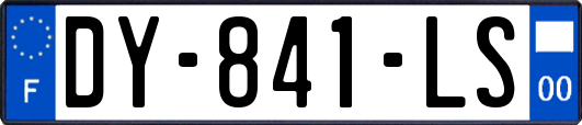 DY-841-LS