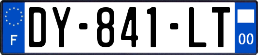 DY-841-LT