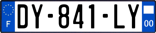 DY-841-LY