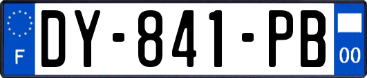 DY-841-PB