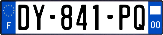 DY-841-PQ