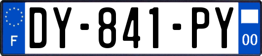 DY-841-PY
