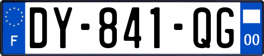 DY-841-QG