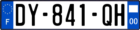 DY-841-QH