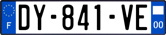 DY-841-VE