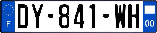 DY-841-WH