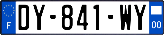 DY-841-WY