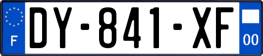 DY-841-XF