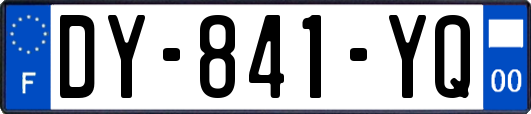 DY-841-YQ