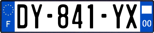 DY-841-YX