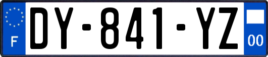 DY-841-YZ