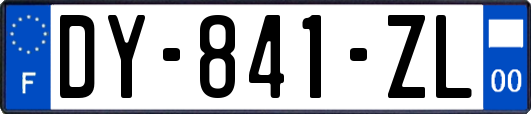 DY-841-ZL