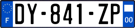 DY-841-ZP