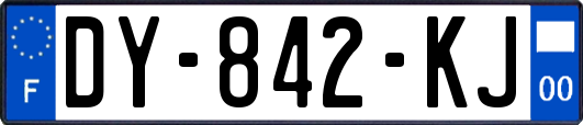 DY-842-KJ