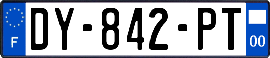 DY-842-PT