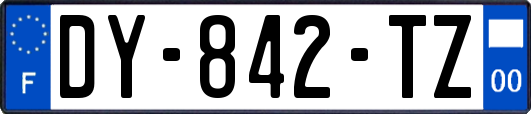 DY-842-TZ