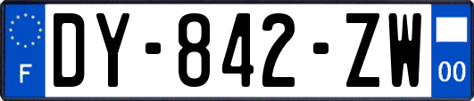 DY-842-ZW