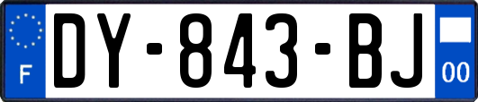 DY-843-BJ