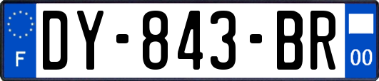 DY-843-BR
