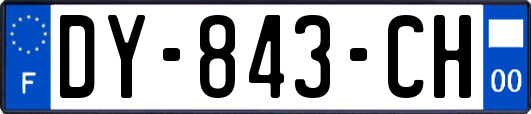 DY-843-CH