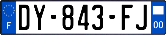 DY-843-FJ