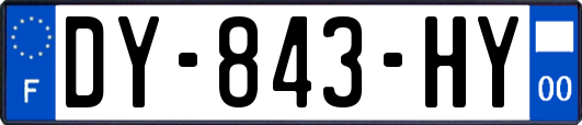 DY-843-HY