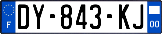 DY-843-KJ