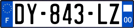 DY-843-LZ