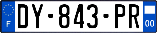 DY-843-PR
