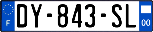 DY-843-SL