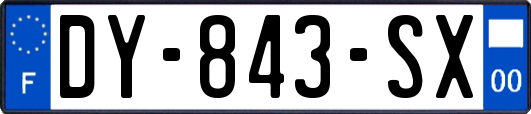 DY-843-SX