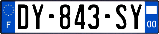 DY-843-SY