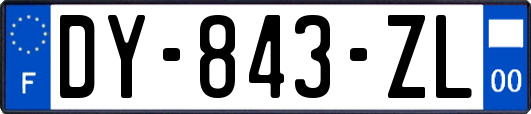 DY-843-ZL