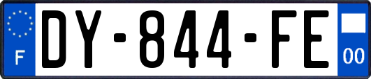 DY-844-FE