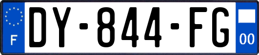 DY-844-FG