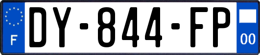 DY-844-FP