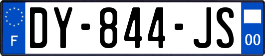 DY-844-JS